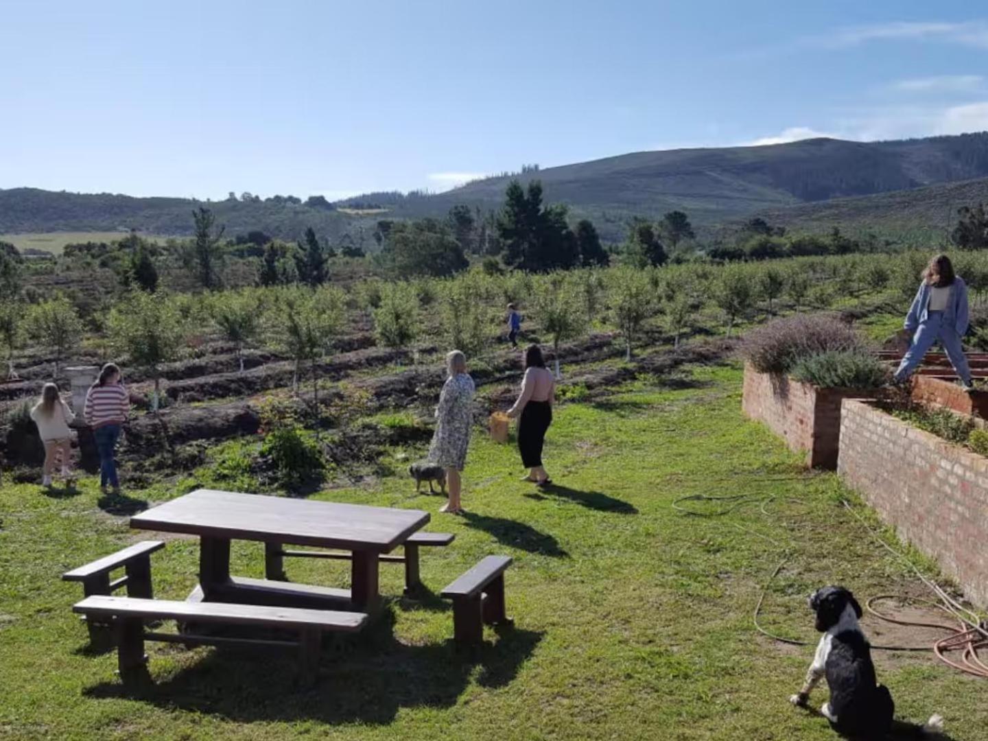 20 Good Summers Farm Stay The Crags エクステリア 写真