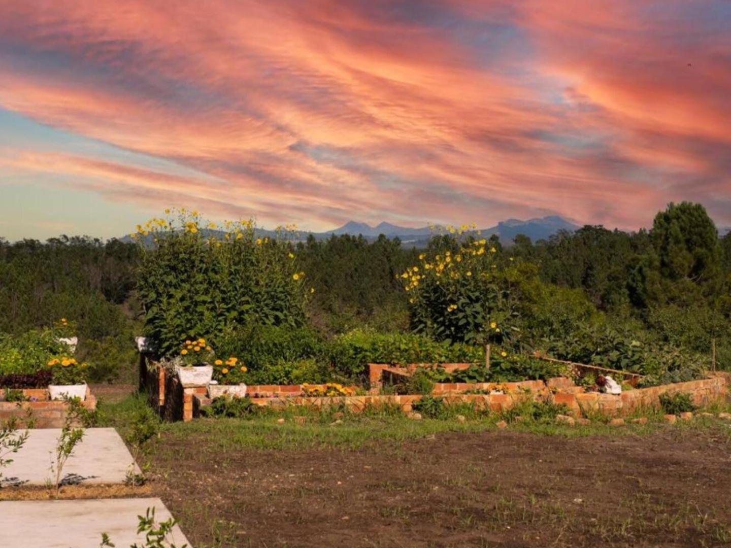 20 Good Summers Farm Stay The Crags エクステリア 写真