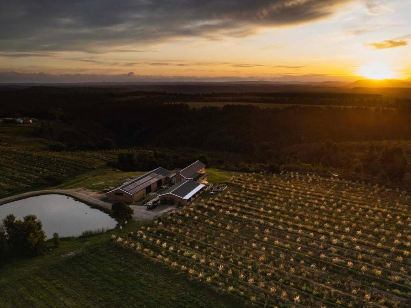20 Good Summers Farm Stay The Crags エクステリア 写真